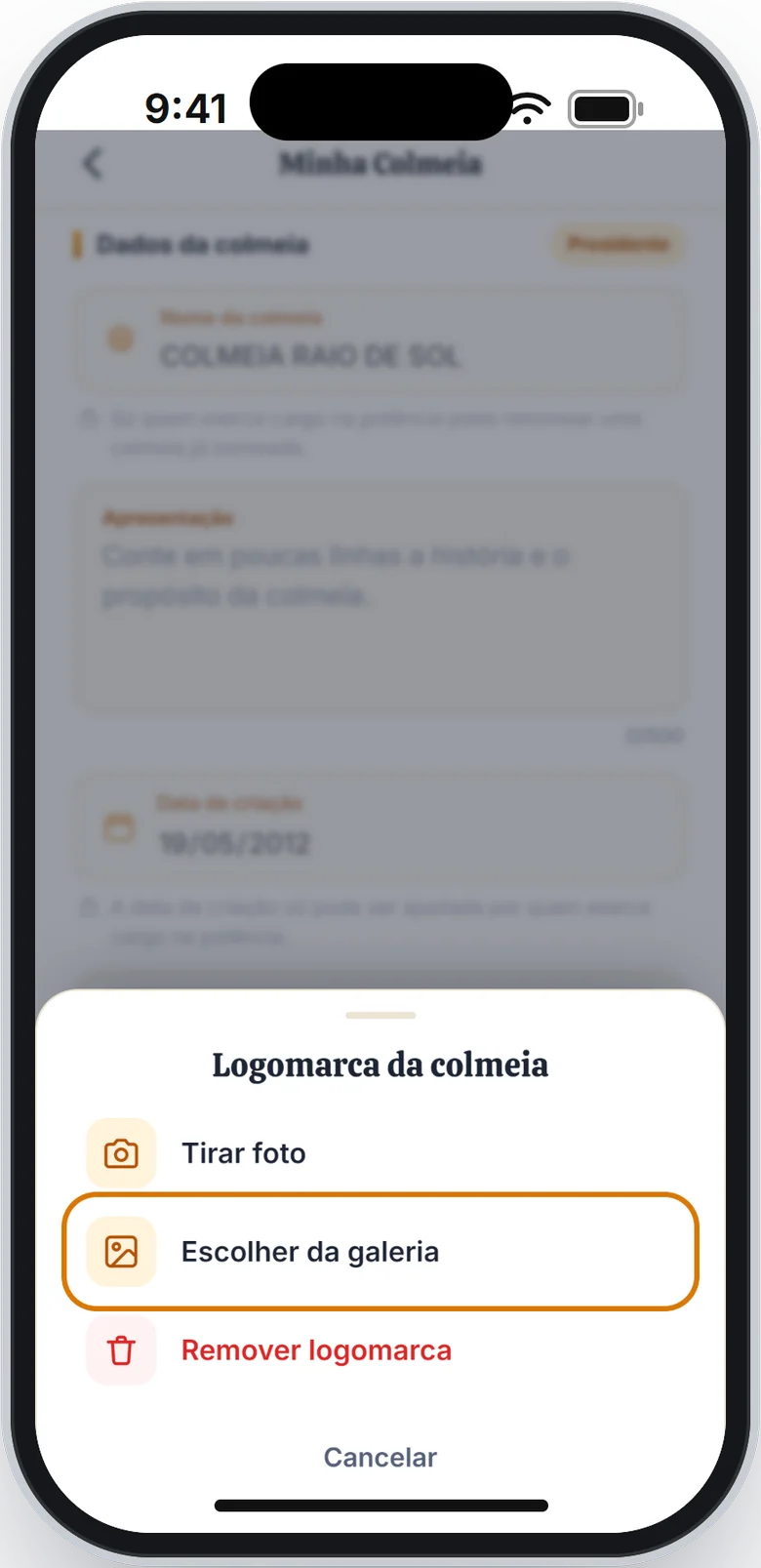 Janela Logomarca da colmeia com as opções Tirar foto, Escolher da galeria e Remover logomarca